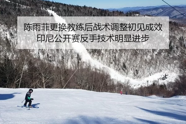 陈雨菲更换教练后战术调整初见成效 印尼公开赛反手技术明显进步